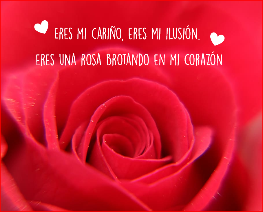 Poemas De Amor para San Valentín