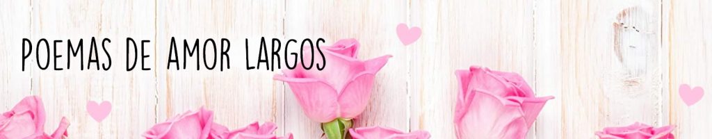 Poemas de Amor Largos Banner