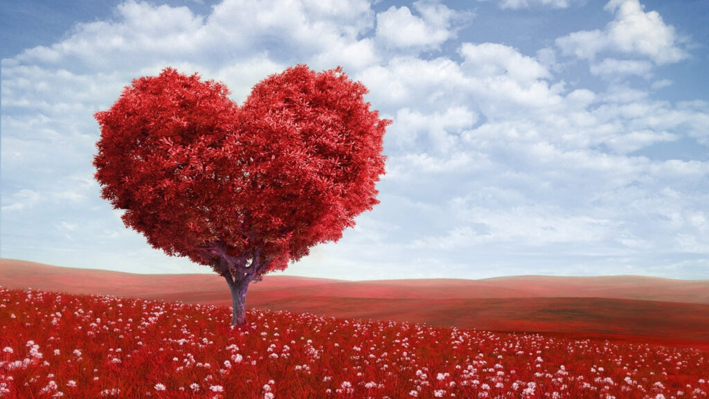 fondos de pantalla de amor gratis